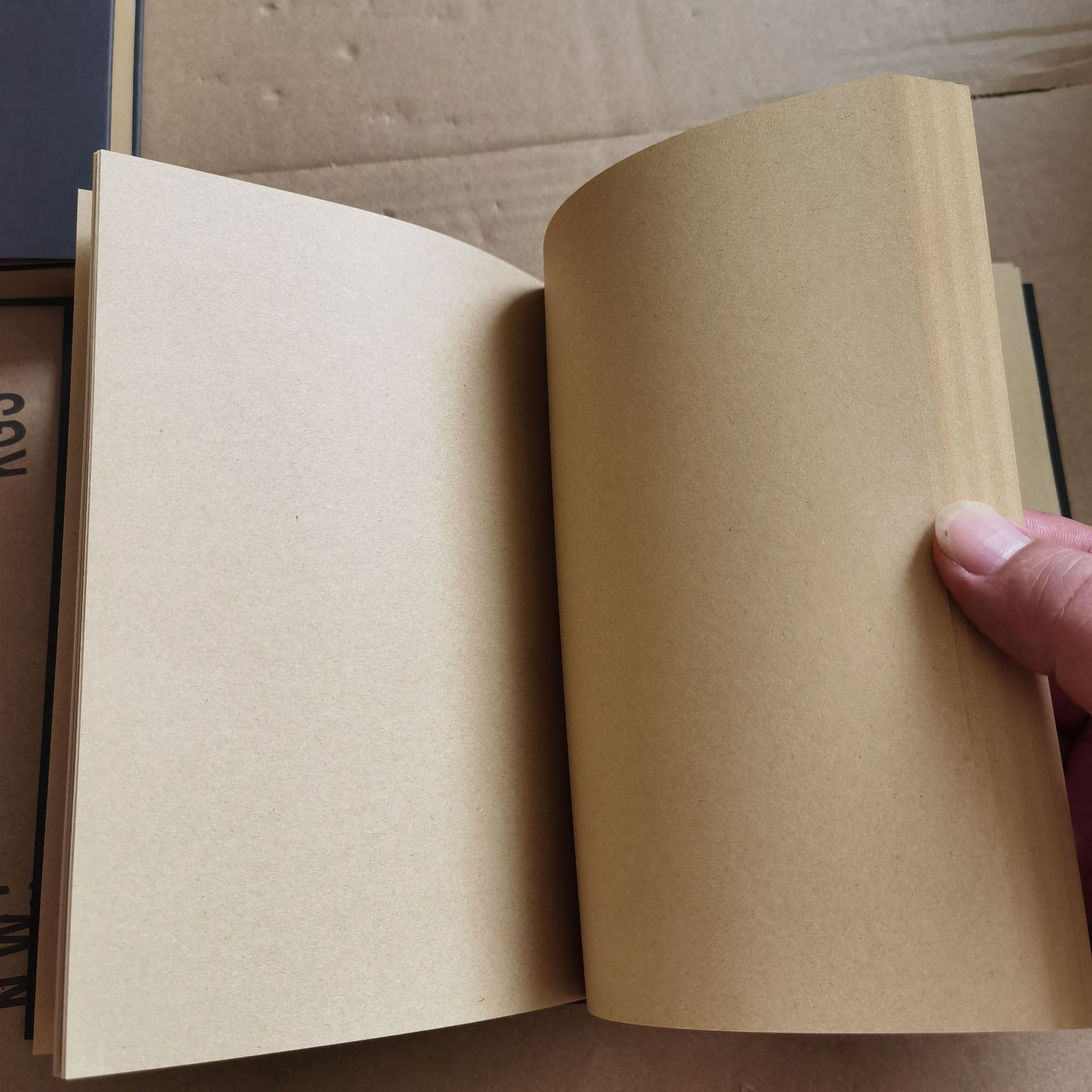 Notatnik 3D z wytłoczonym moty – Stationery Books recenzja i cena